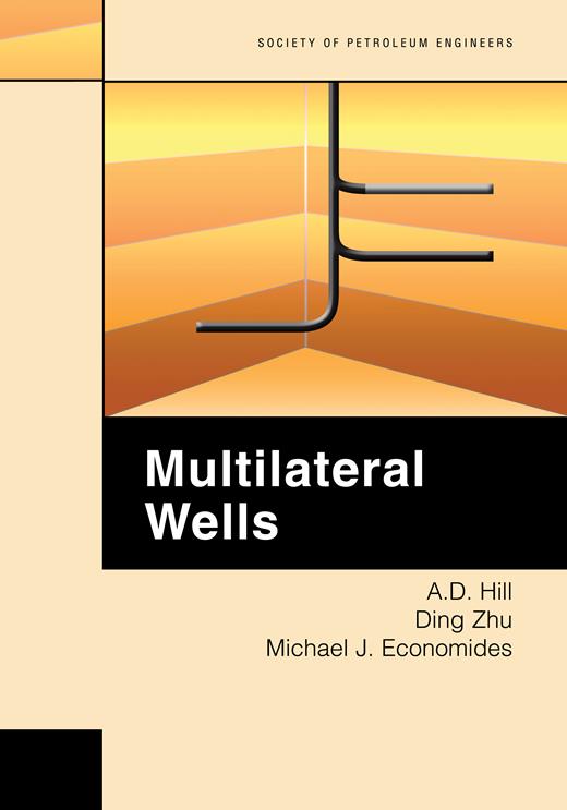 Book cover for Multilateral Wells
