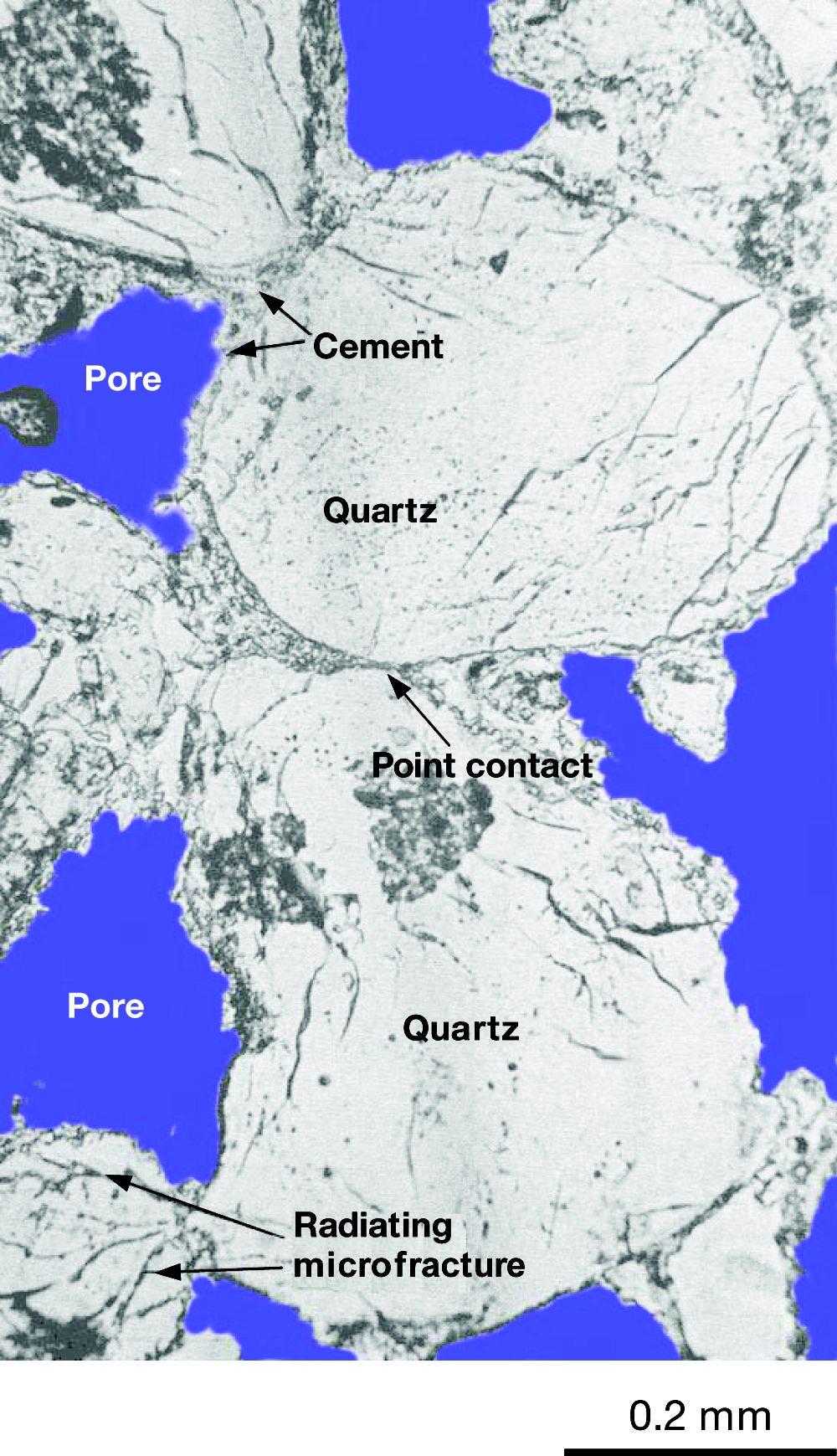 Rock types | Society of Petroleum Engineers (SPE) | OnePetro