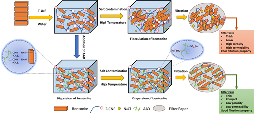 Illustration showing the improved filtration performance of T-CNF/BT-WBDFs by adding AAD polymer after salt contamination and thermal aging treatment, highlighting the critical role of AAD copolymer in maintaining BT dispersion, minimizing API fluid loss, and forming a compact, low-porosity filter cake.